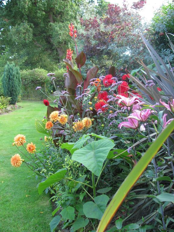 The Corner House Bed & Breakfast Rye Oda fotoğraf