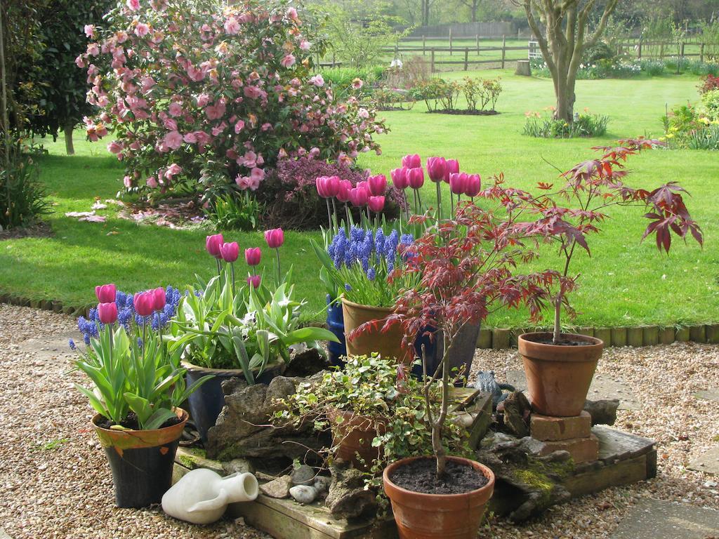 The Corner House Bed & Breakfast Rye Oda fotoğraf